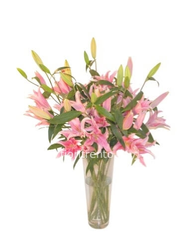 Mazzo di lilium